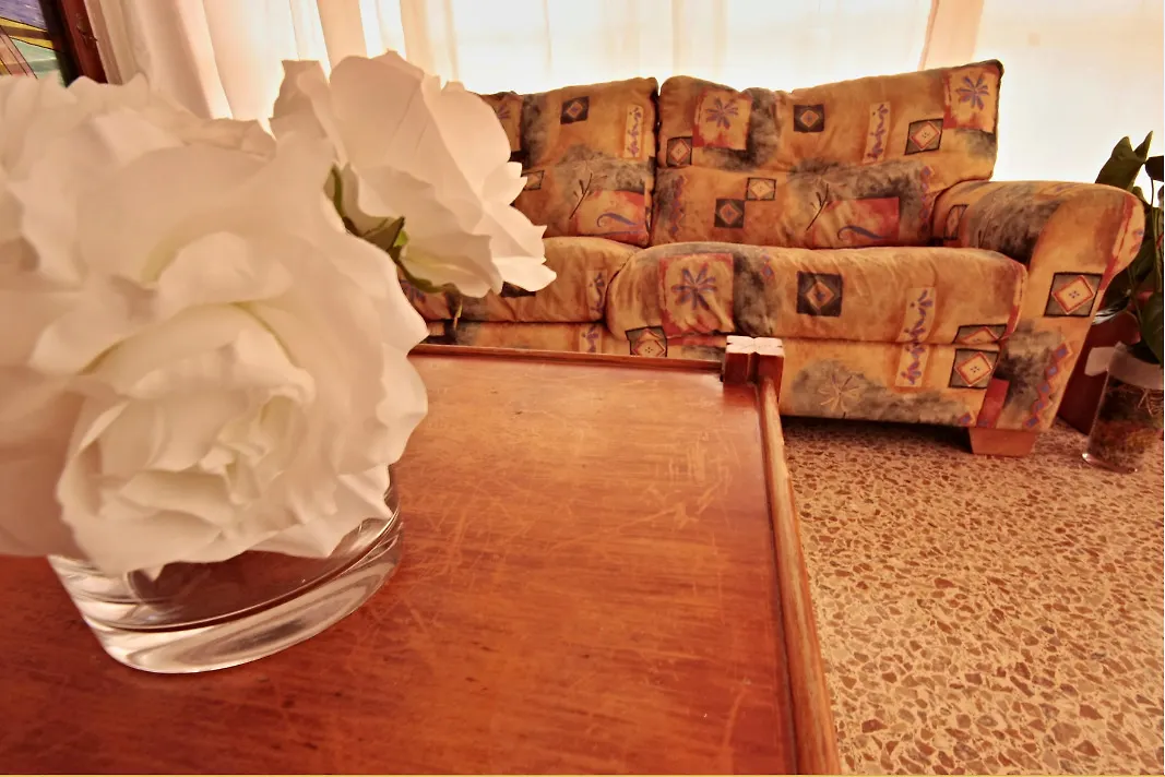 Hotel Fenix El Arenal